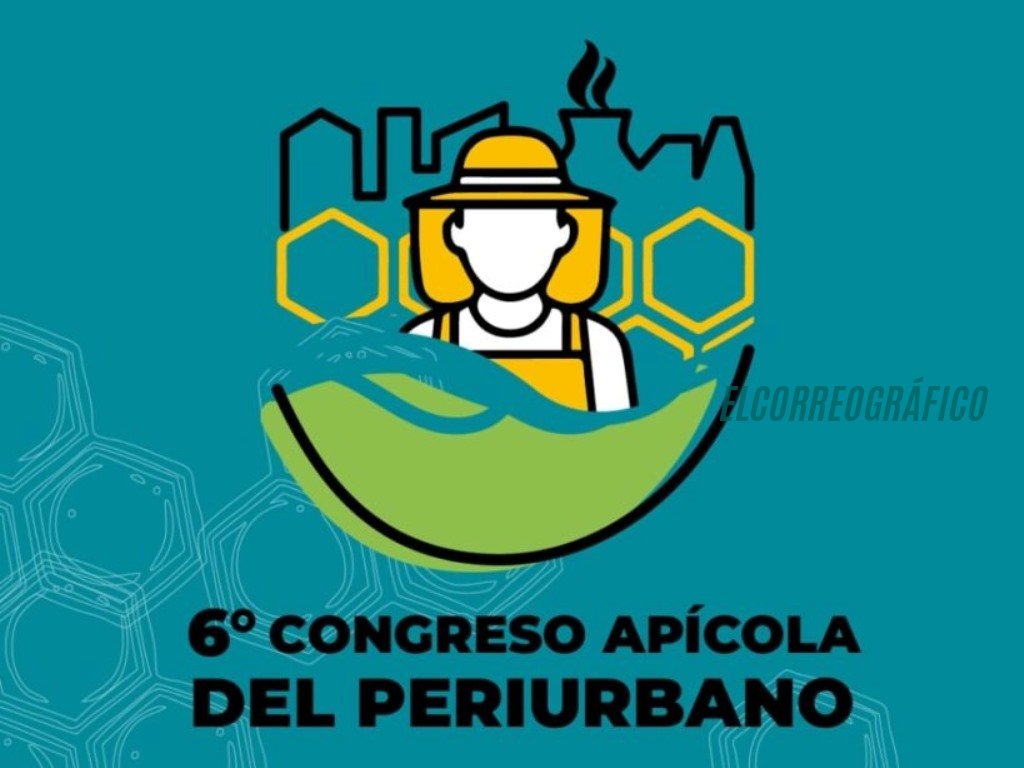 Crisis apícola: caída del 50% en ventas golpea a productores de Berisso en la previa del VI Congreso del Periurbano Crisis apícola caída del 50% en ventas golpea a productores de Berisso en la previa del VI Congreso del Periurbano 1
